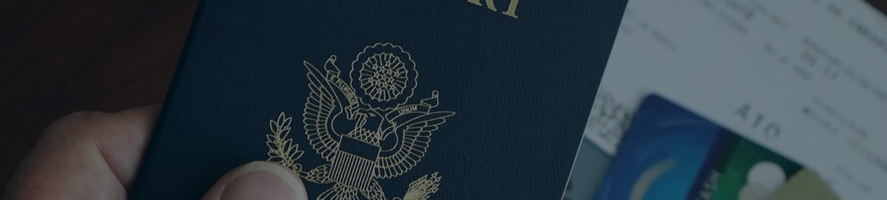 Nepex Travels — visa processing and ticketing